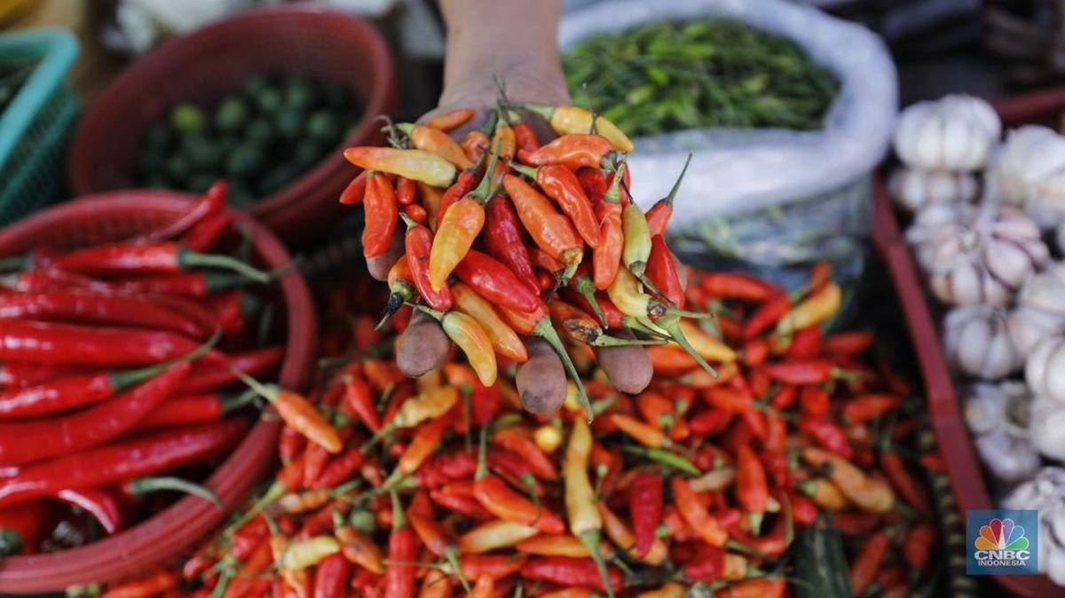 Cek Harga Pangan Hari Ini: Cabai Rawit Merah Rp69.750, Telur Ayam Tembus Rp33.000