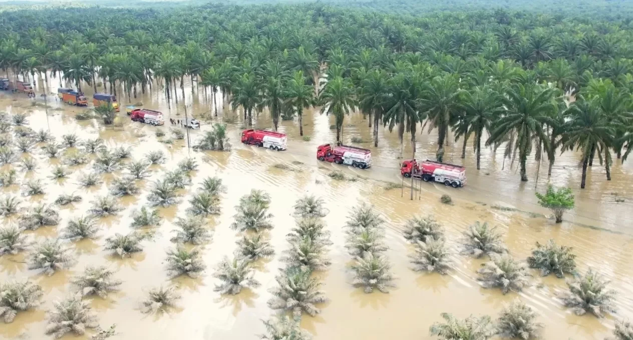 Pemerintah Salurkan BBM dan Alat Berat untuk Pemulihan Aceh Tamiang