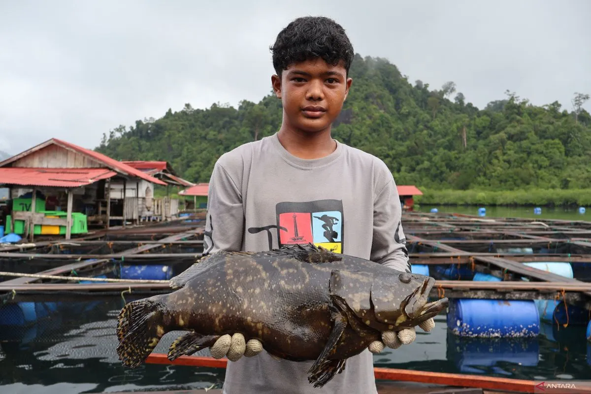 Perluas Pasar Global, Produk Perikanan Sulsel Berhasil Ekspor ke Arab Saudi