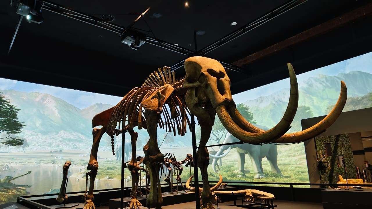 Gratis Tiket Masuk Museum Nasional untuk 3 Kategori Ini, Cek Daftarnya di Sini!