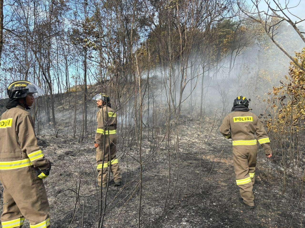 Gerak Cepat, Brimob Polda Kepri Terjunkan Personel Padamkan Kebakaran Hutan di Batam