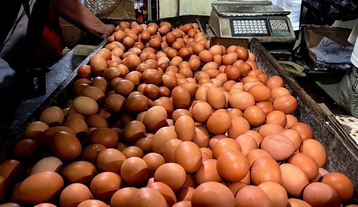 Harga Pangan Sabtu Pagi: Telur Ayam Rp32.300/kg dan Cabai Rawit Tembus Rp71.550/kg