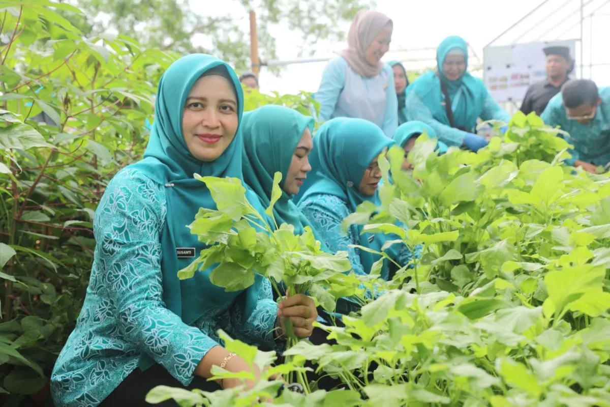 Kepulauan Seribu Dorong Budidaya Sayur Hidroponik Guna Perkuat Ketahanan Pangan