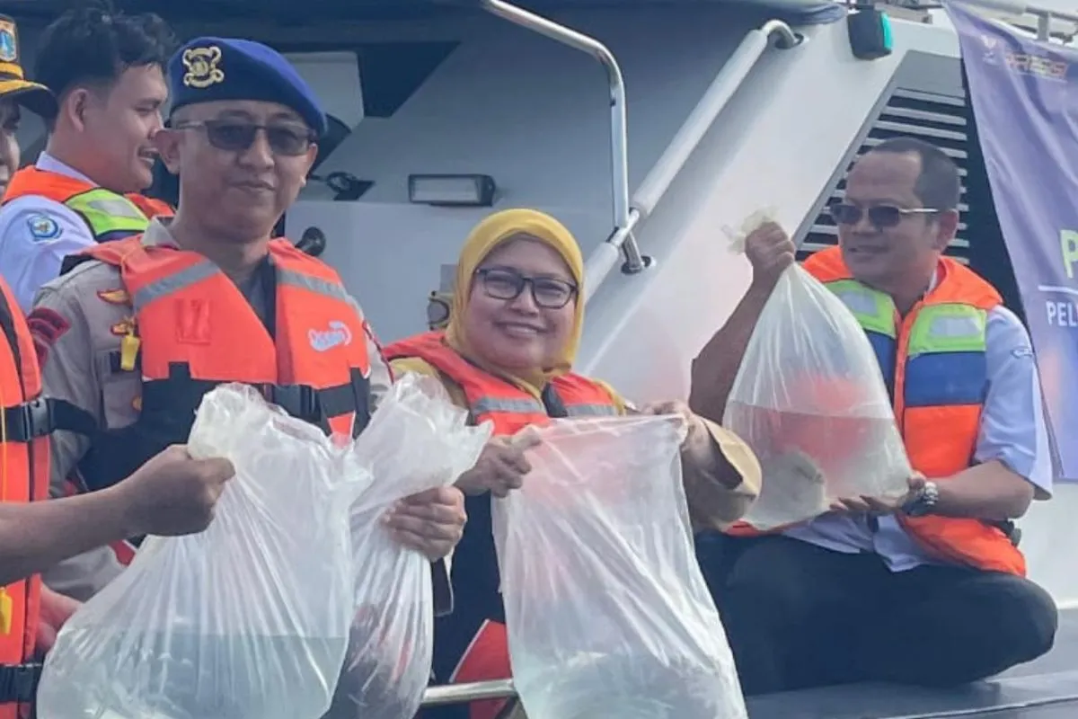 Jaga Ekosistem Laut, 183 Ikan Napoleon Dilepas di Area Perlindungan Pulau Panggang