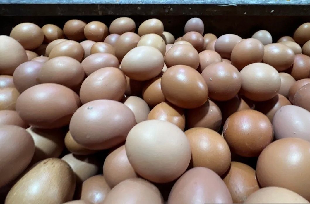 Harga Telur Ayam Turun Jadi Rp29.750 per Kg, Bawang Merah Rp50.950 per Kg Hari Ini