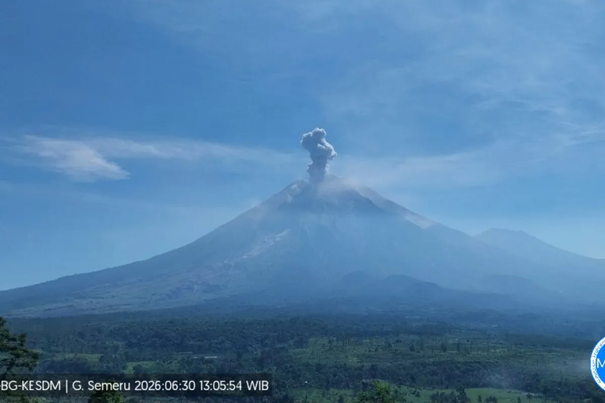 Gunung Semeru Erupsi Hari Ini, Semburkan Abu Vulkanik Setinggi 900 Meter