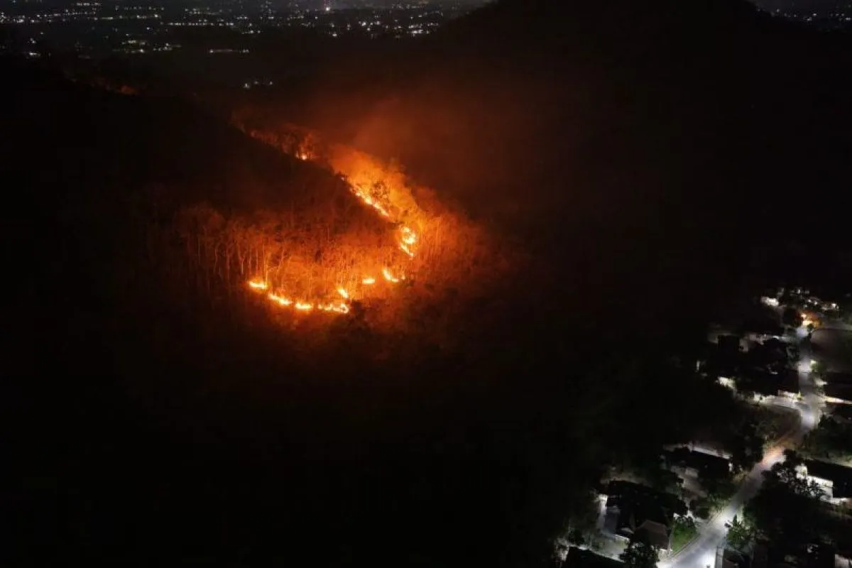 Kebakaran Hutan di Gunung Gombak Ponorogo, 15 Hektare Lahan Hangus