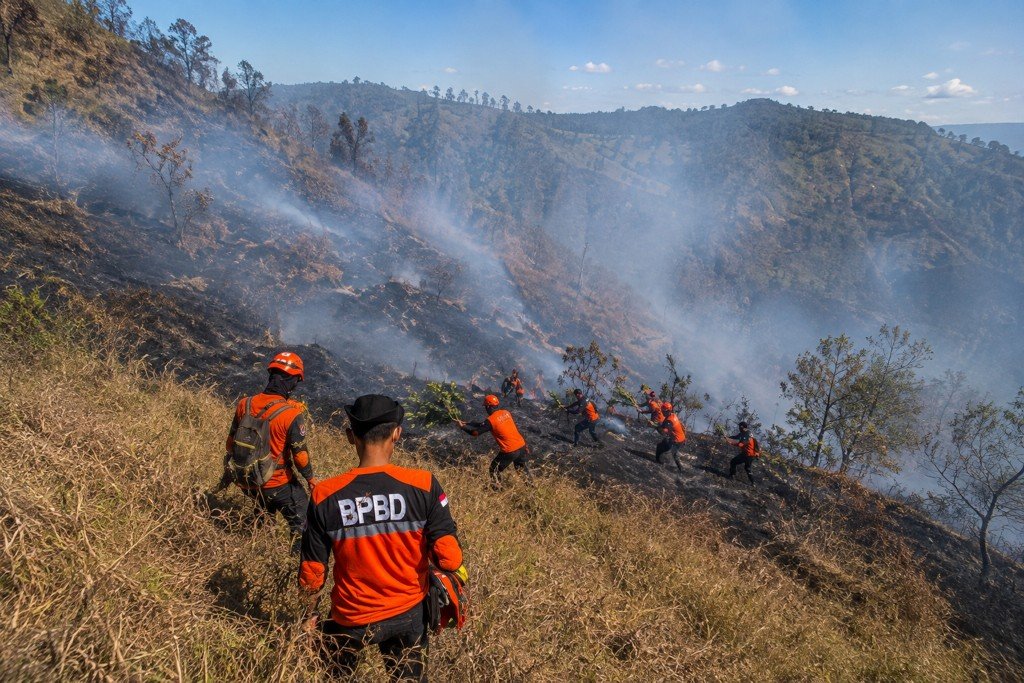 BPBD Lumajang Kerahkan Tim Reaksi Cepat untuk Tangani Karhutla Bromo