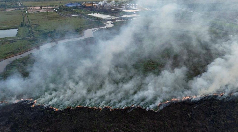 Atasi Kebakaran Hutan, Pemerintah Kerahkan 40 Armada Udara Tangani Karhutla