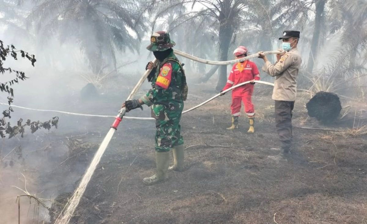 Satgas Gabungan Buka Akses ke Titik Api Karhutla di TNBS